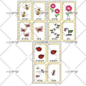 שישה צמדים של כרטיסים עם כיתוב ואיור מתאים: פרח פרחים, ניצן ניצנים, דבורה דבורים, פרפר פרפרים, חיפושית חיפושיות, נמלה נמלים