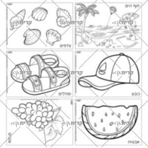 שישה איורים שונים, כל אחד בדף נפרד: חוף ים, צדפים, כובע, סנדלים, אבטיח, ענבים