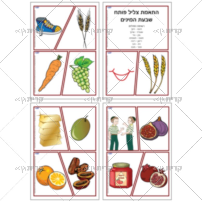 ארבעה דפים, בכל דף שני צמדי כרטיסים: בכל כרטיס בצד ימין איור של אחד משבעת המינים ובצד שמאל איורים הפתוח בצליל זהה
