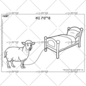 איור של כבשה קשורה למיטה