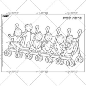 שישית תינוקות בעגלה