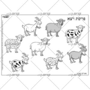 כבשים ועיזים: נקודים ברודים חומים חלקים